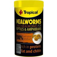 Tropical Meal Worms 250 ml 30 Un Kurdu Sürüngen Yemi