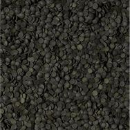 Tropical Super Spirulina Forte Chips 50 gr Balık Yemi