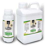 Truva - Lindsay Clarke
