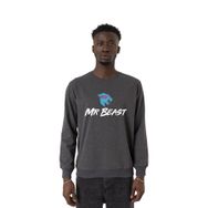 Tshirthane P22824S6067 Füme Erkek Sweatshirt