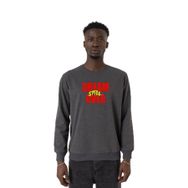 Tshirthane P24199S5328 Füme Erkek Sweatshirt