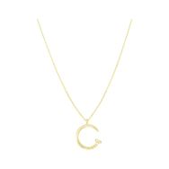 Tuğrul Altın T054454 Altın Çivi Kolye