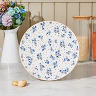 Tulu Porselen Robi 25 cm Renkli Servis Tabağı