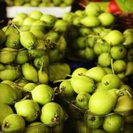 Tüplü Aşılı Çok Erkenci Akça Bal Armut Fidanı