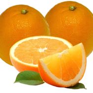 Tüplü Aşılı Çok Verimli Pürüzsüz Navel Portakal Fidanı