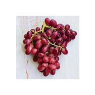 Tüplü Çekirdeksiz İri Crimson Seedless Üzüm Asma-Bağ Fidanı