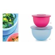 Tupperware 2,5+4,3 lt Eko 2'Li Saklama Kabı Seti