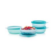 Tupperware 300 ml 4'lü Saklama Kabı