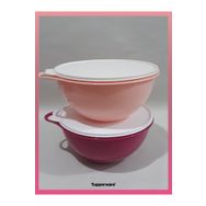 Tupperware 4.5 lt 2'li Mikser Kabı