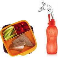 Tupperware 550 ml Bölmeli Beslenme Kutusu 500 ml Suluk