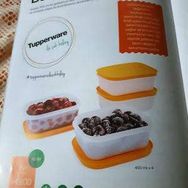 Tupperware Alaska 4'lü Saklama Kabı