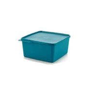Tupperware Dikdörtgen 2.5 lt Saklama Kabı