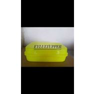 Tupperware F20 Kurabiye Saklama Kabı