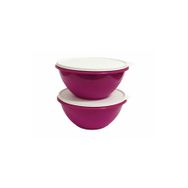 Tupperware Muciye 2x2.4 lt Saklama Kabı