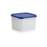 Tupperware Oval 2.6 lt Kuru Gıda Saklama Kabı