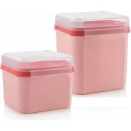 Tupperware Özel Kare 2'li 2.6-4 lt Somon Çok Amaçlı Saklama Kabı