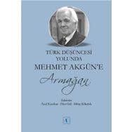 Türk Düşüncesi Yolunda Mehmet Akgün'e Armağan - Milay Köktürk
