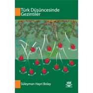 TÜRK DÜŞÜNCESİNDE GEZINTILER - SÜLEYMAN HAYRI BOLAY