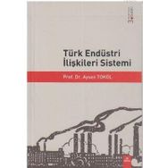TÜRK ENDÜSTRİ İLİŞKİLERİ SISTEMI - AYSEN TOKOL (ISBN:9789755917429)