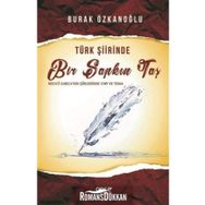 Türk Şiirinde Bir Sapkın Taş - Burak Özkanoğlu