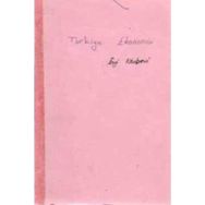 Türkiye Ekonomisi - Hüseyin Şahin
