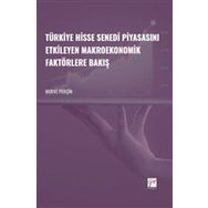 Türkiye Hisse Senedi Piyasasını Etkileyen Makroekonomik Faktörlere Bakış - Merve Perçin