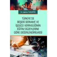 Türkiye`de Beşeri Sermaye ve İşgücü Verimliliğinin Eğitim Düzeylerine Göre Değerlendirilmesi Ekin Yayınevi