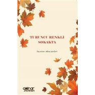 Turuncu Renkli Sokakta - Tacettin Aksu