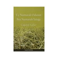 Üç Numaralı Odanın Beş Numaralı Yatağı - Çağatay Güler