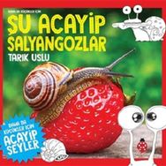 Uğurböceği Yayınları Daha da Küçükler İçin Şu Acayip Salyangozlar