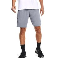 Under Armour UA Tech Graphic W76 Gri Erkek Şort