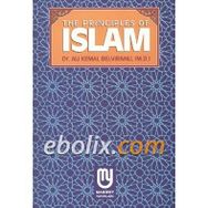 UNDERSTANDING THE BASIC PRINCIPLES OF ISLAM - ÖMER A. ERGI