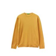 United Colors of Benetton Merino Sarı Bisiklet Yaka Erkek Kazak
