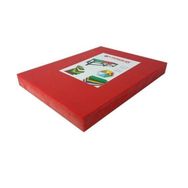 Ünsal Showroom Türkay Polietilen Kırmızı 60x40x4 cm Kesme Tahtası