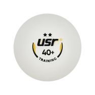 USR Training 100'lü 2 Yıldız Masa Tenisi Antrenman Topu