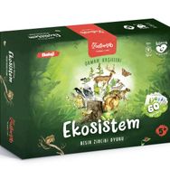 Usturlab Ekosistem Besin Zinciri Kutu Oyunu Midi Boy