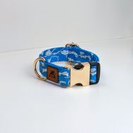 Utd Pet XS Waves Köpek Boyun Tasması