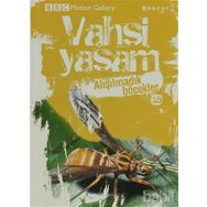 VAHŞI YAŞAM 2 ALIŞILMADIK BÖCEKLER - GENEL