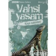 VAHŞI YAŞAM 2 KAYA SAKINLERI - GENEL