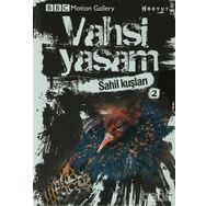VAHŞI YAŞAM SAHIL KUŞLARI - GENEL