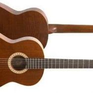 Valencia CGLTD2 Klasik Gitar