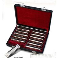 Valencia HM1020-12 12'li Mızıka Set