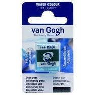 Van Gogh 630 Dusk Green Sulu Boya Tablet