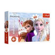 Vardem Oyuncak 17333 Frozen 2 60 Parça Puzzle