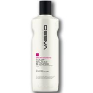 Vasso Boyalı Saçlar için İpek Proteinli Parlaklık ve Canlılık Veren Color Magnetic 270 ml Şampuan