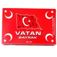 Vatan 60 x 90 cm Bayrak