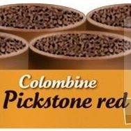 Versele Laga Colombıne Pickstone Red 5+1 6x600 gr Güvercin Mineral Desteği