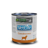 Vet Life Convalescence 300 gr Dog Hasta Köpek Maması