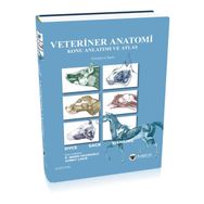 Veteriner Anatomi Konu Anlatımı ve Atlas - Kolektif