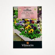 Vilmorin Hercai Karışık Alacalı Menekşe Tohumu